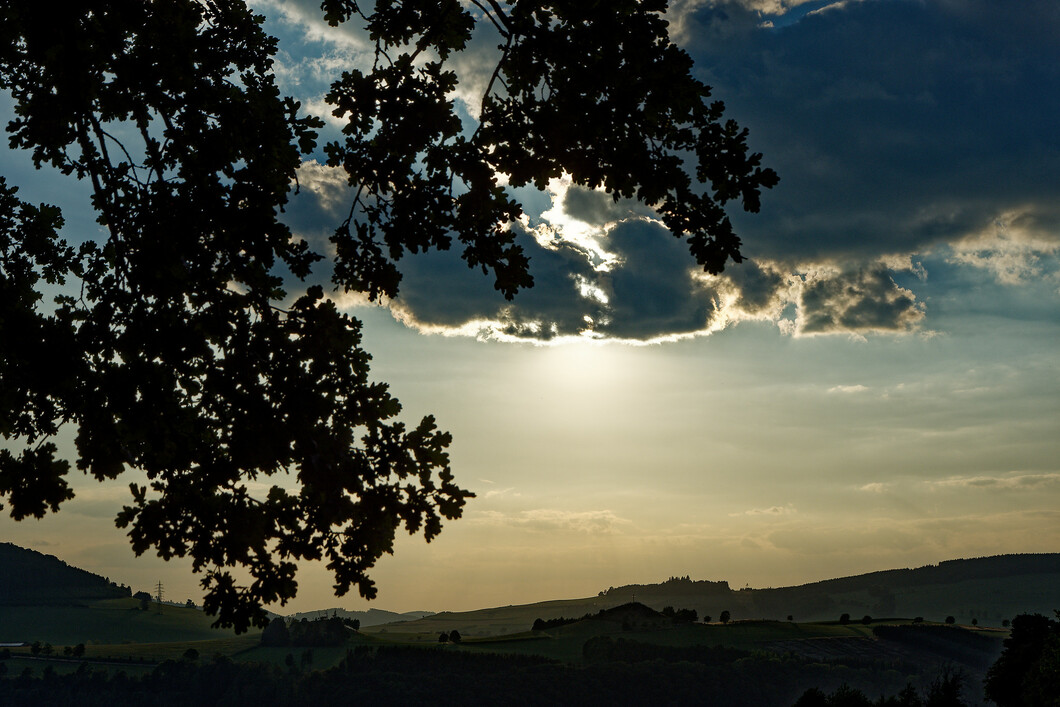 ichguckemalrein's profile header