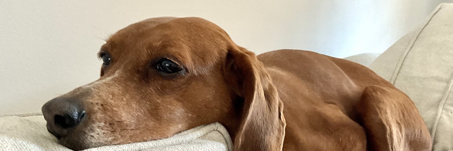 kraigschmidt's profile header