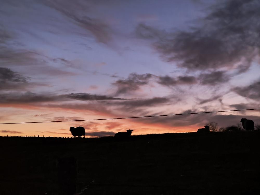 ImageJen's profile header