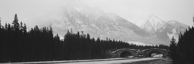 codypriebe's profile header