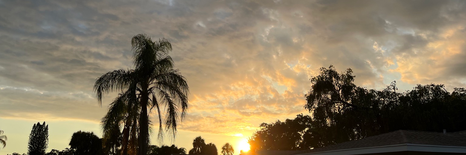 SuzBrockmann's profile header