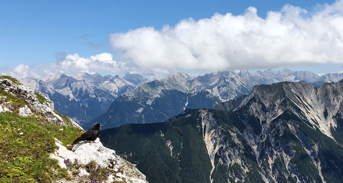 BrigitteKnopf's profile header