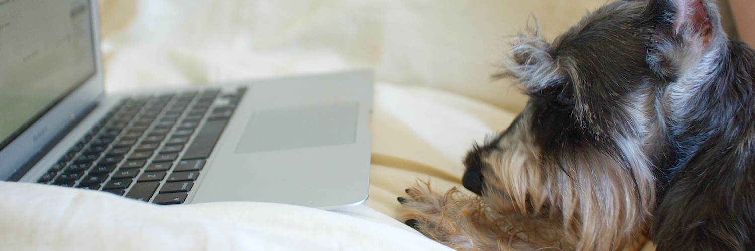 Header Image
