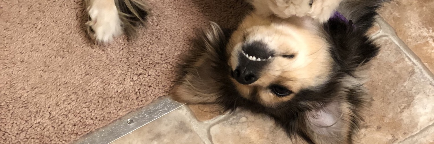 MrBurbles's profile header