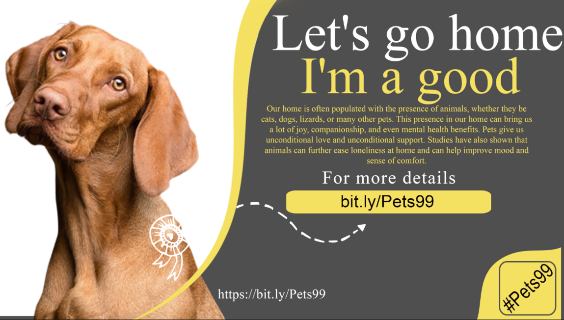 Mastodon banner for @pets