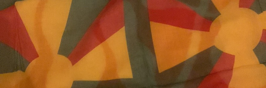 Mastodon banner for @transient