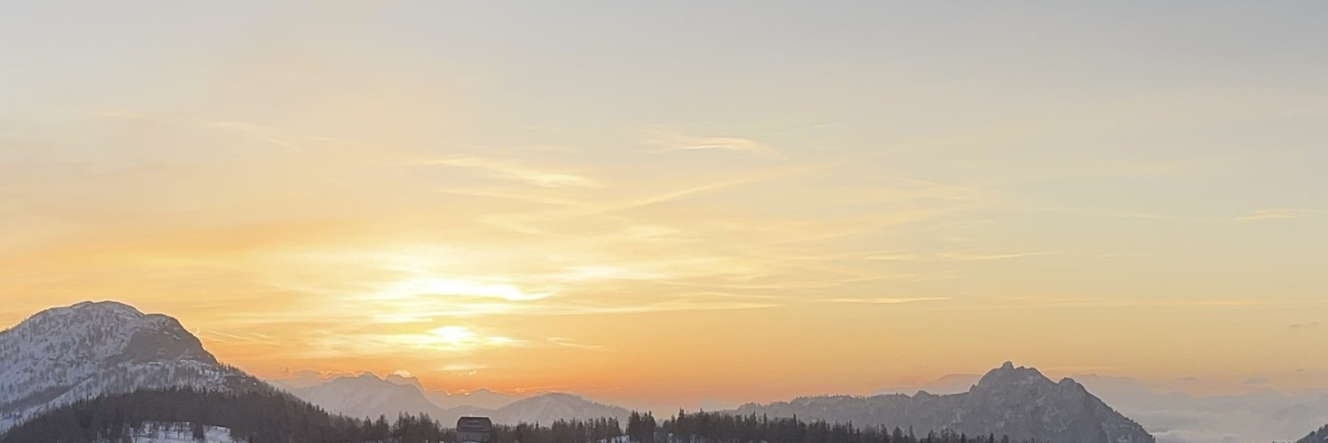 nelissen's profile header