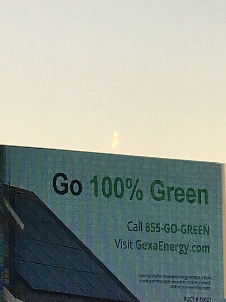 ThePaintedGrape's profile header