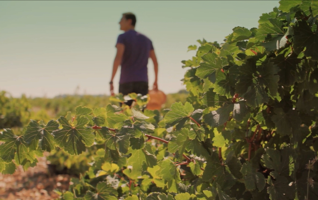 vinetur's profile header