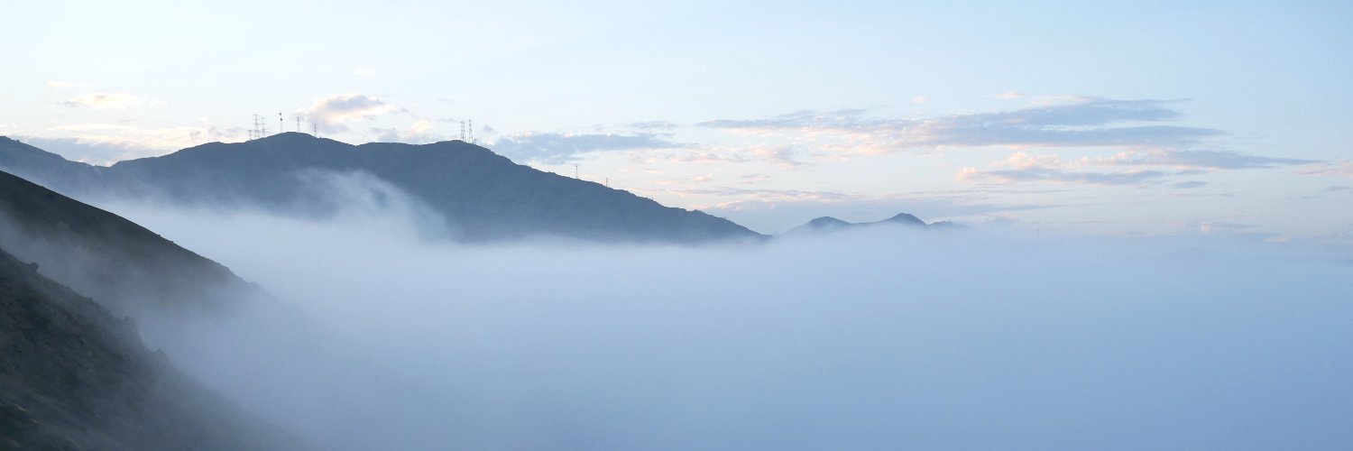 cojani's profile header