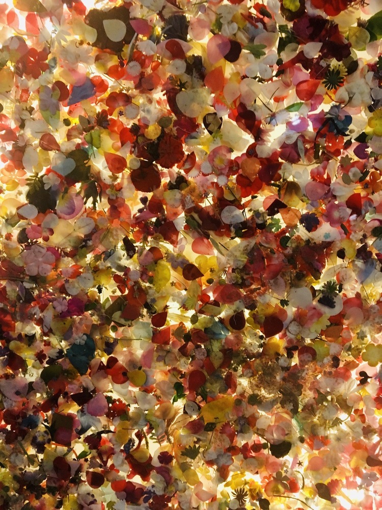 nickbi's profile header