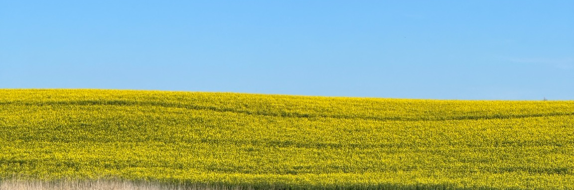 Titelfoto für diesen Kanal