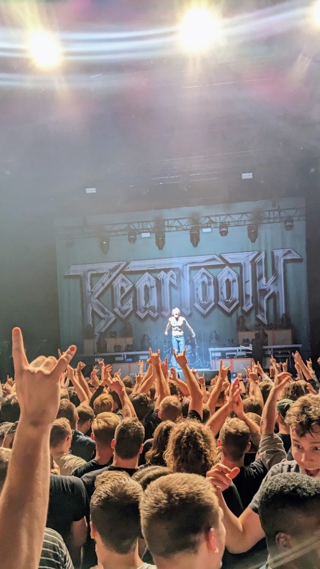 maxdagram's profile header