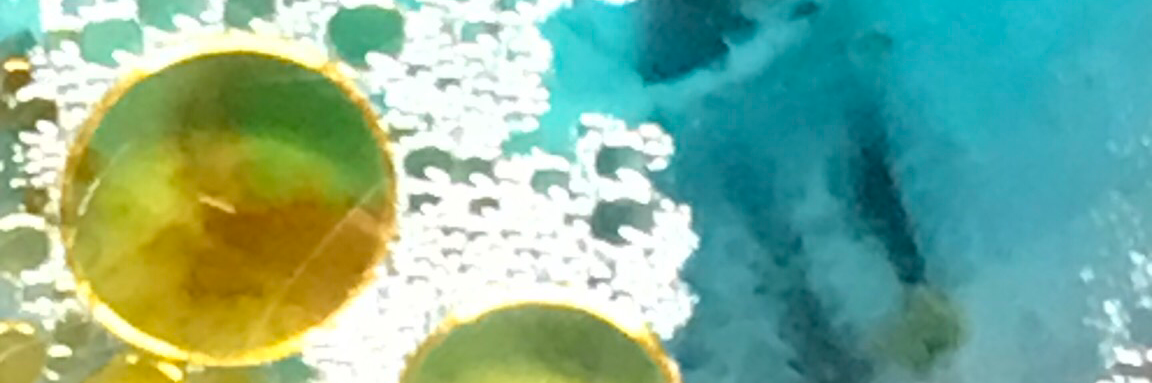 DanadasGrau's profile header
