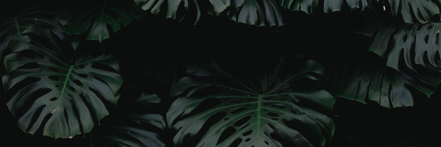 Mastodon banner for @beeps
