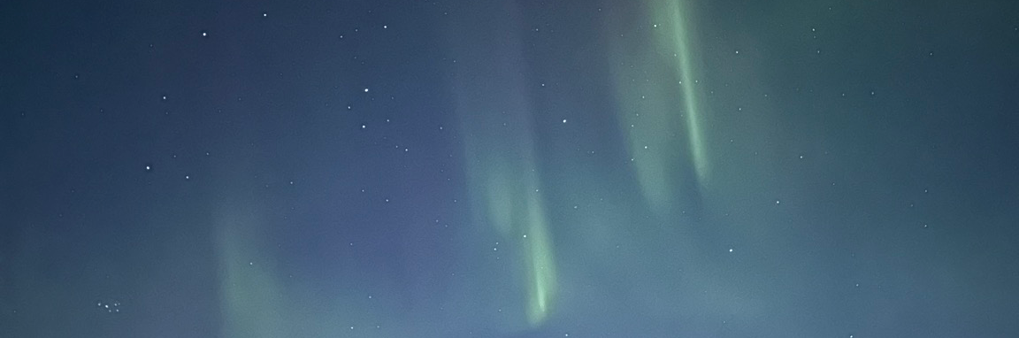 SakuAlpha's profile header