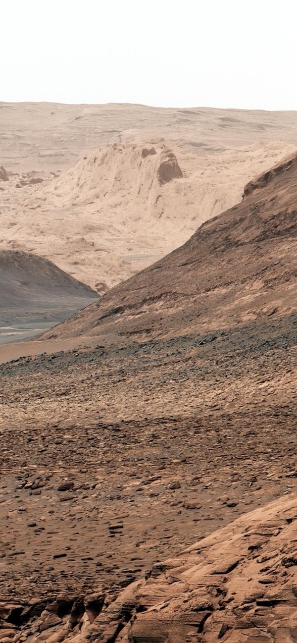 CatsofArrakis's profile header