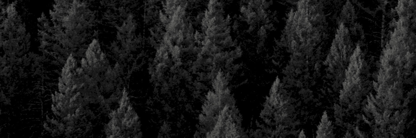 cyanwave's profile header