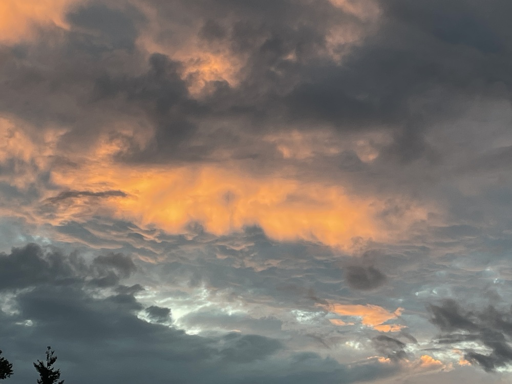 georgeslascar's profile header