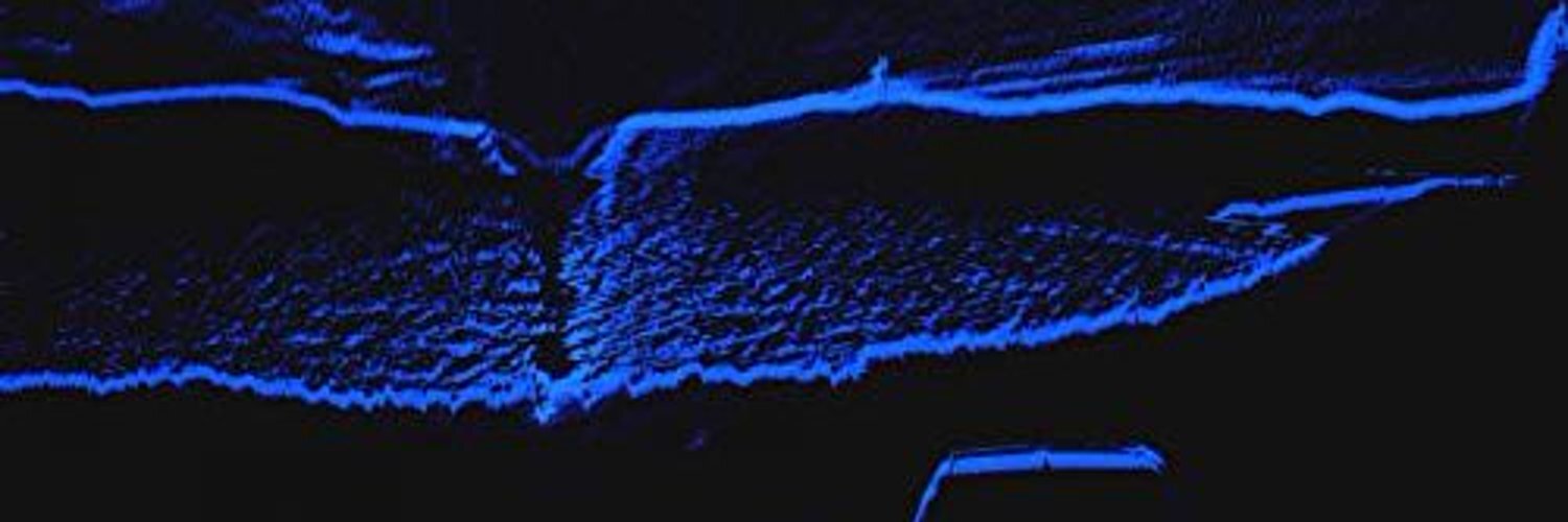 blues4heaven's profile header