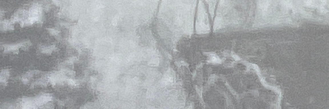 Mastodon banner for @wishing
