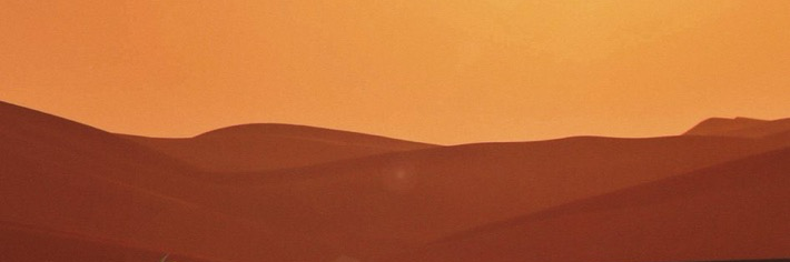 Shoubzeo's profile header