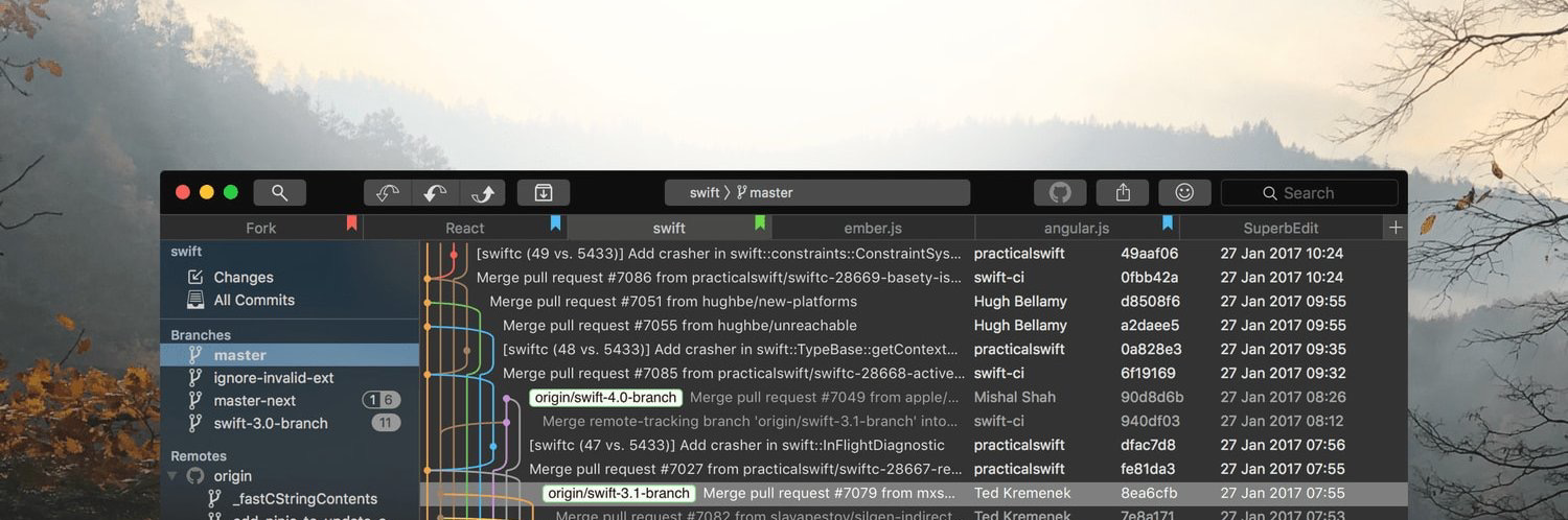 fork_dev's profile header