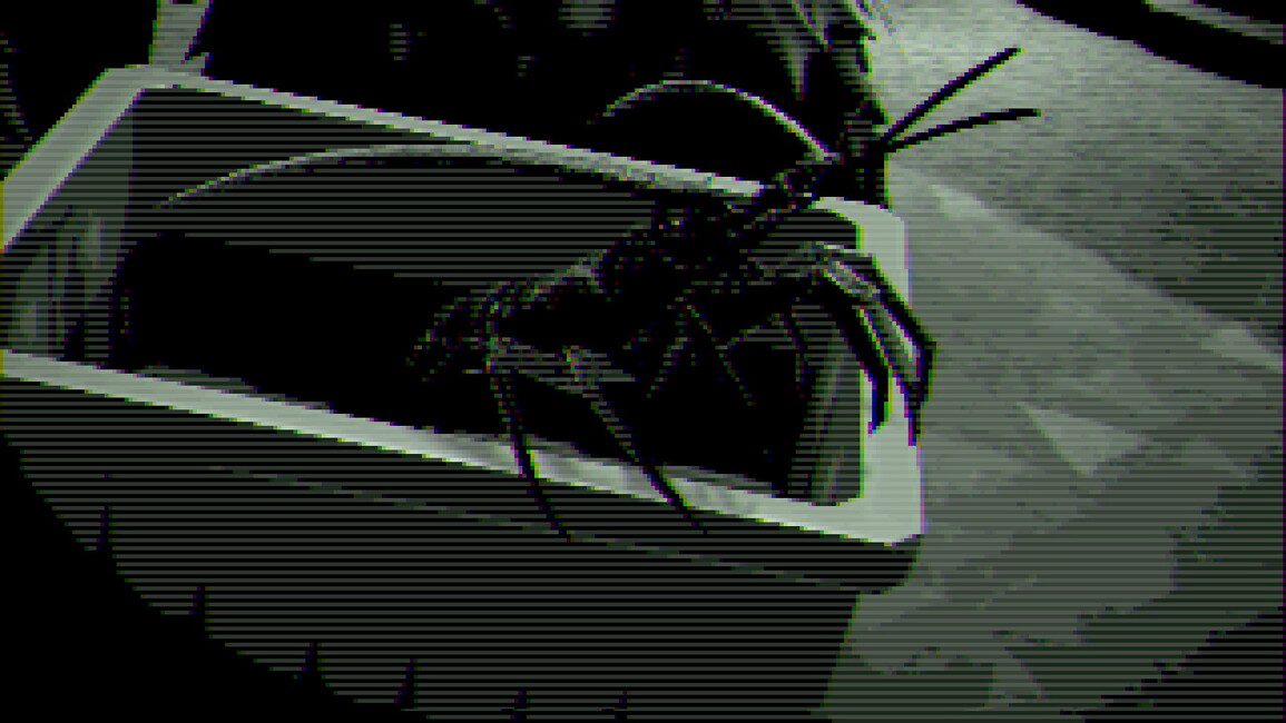 Mastodon banner for @Meats