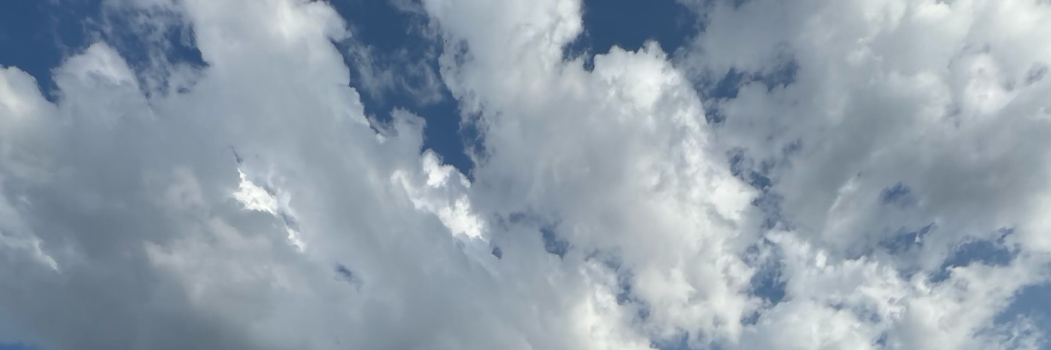 dbdk's profile header