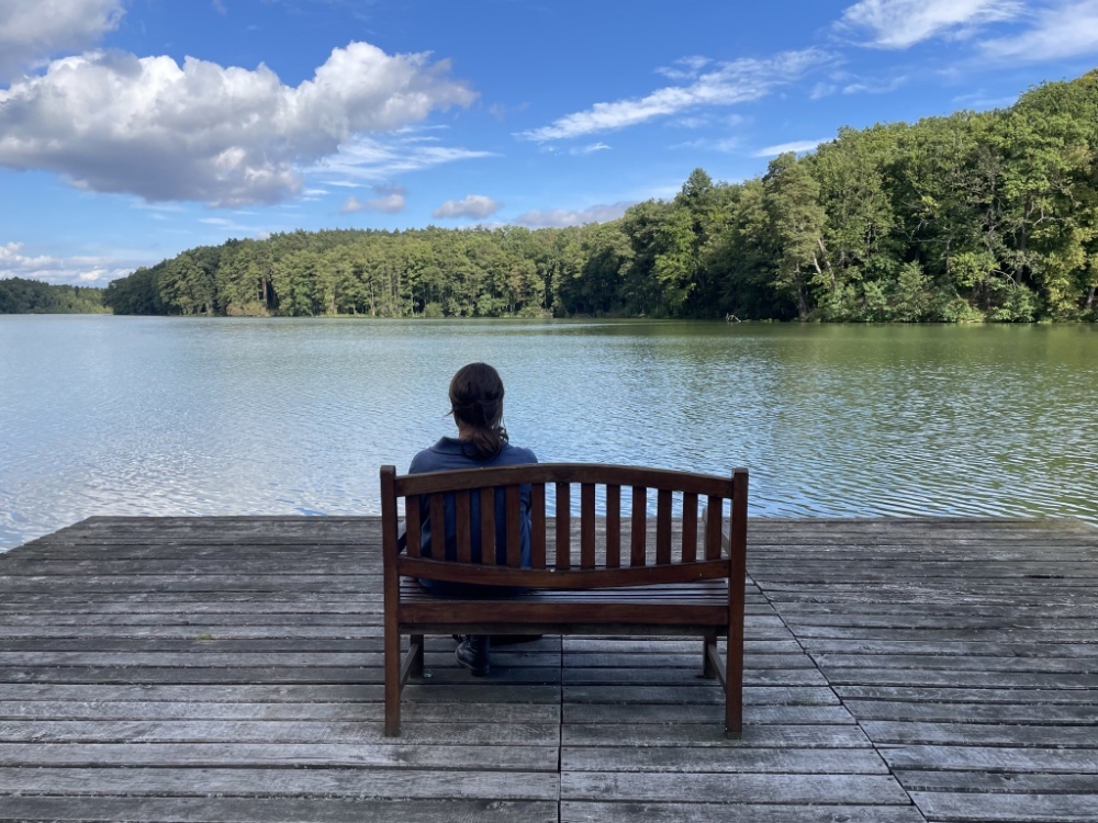 annuccia's profile header