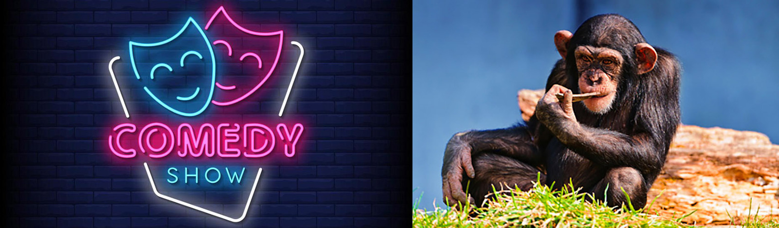 Mastodon banner for @comedians
