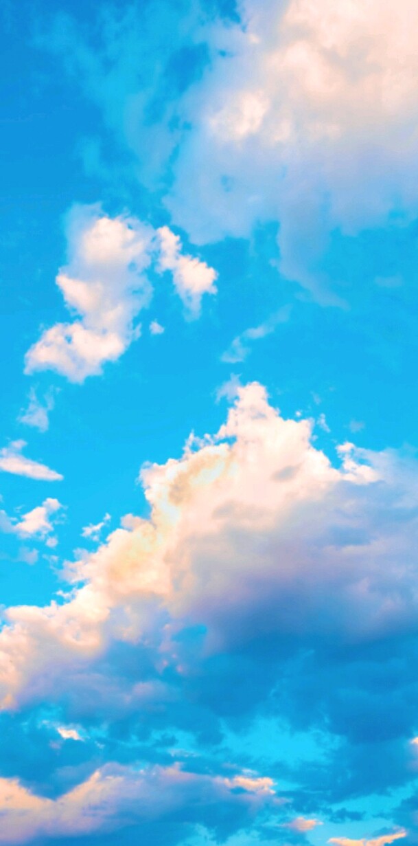 Chantelsnyman's profile header