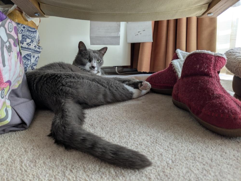 onyourfeetnuggets's profile header