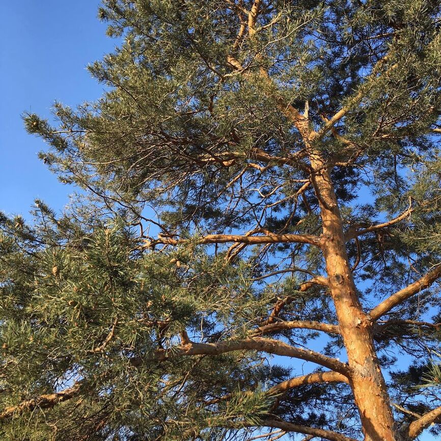 edbilodeau's profile header