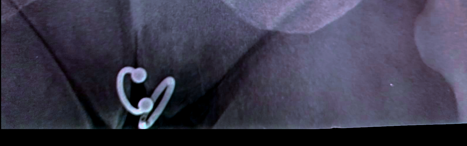 gynepunk's profile header
