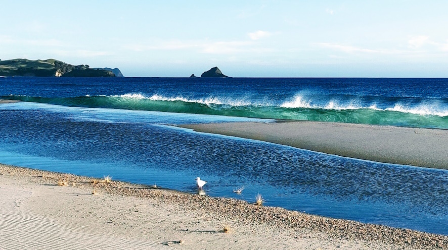 willallennz's profile header