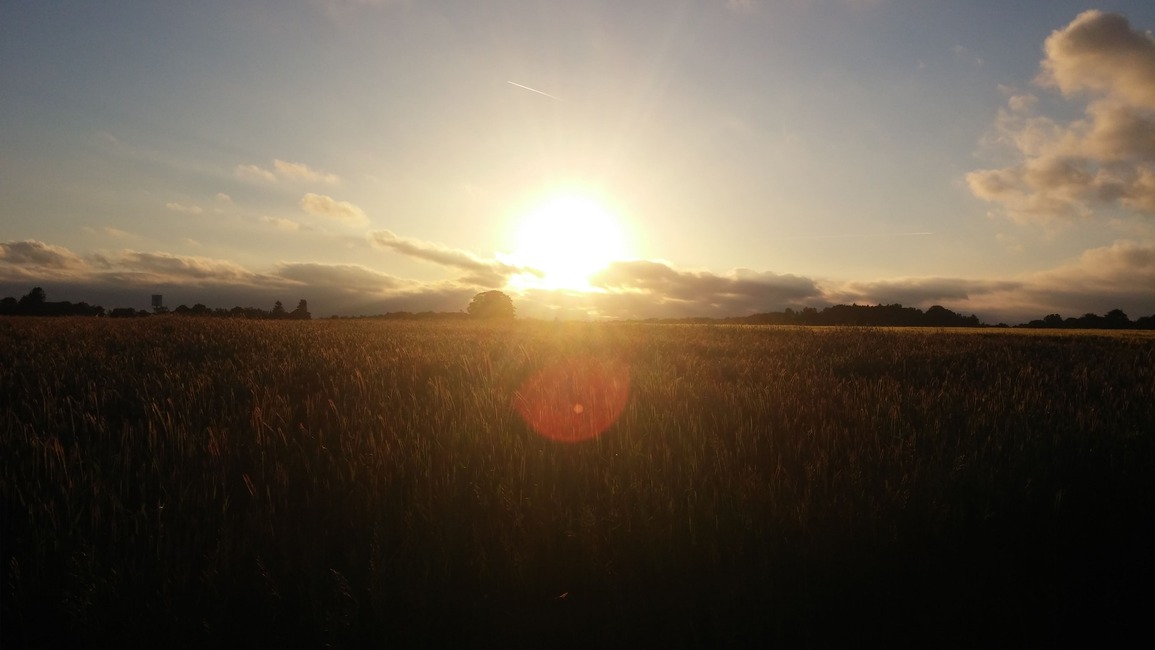 KazuShuSora's profile header