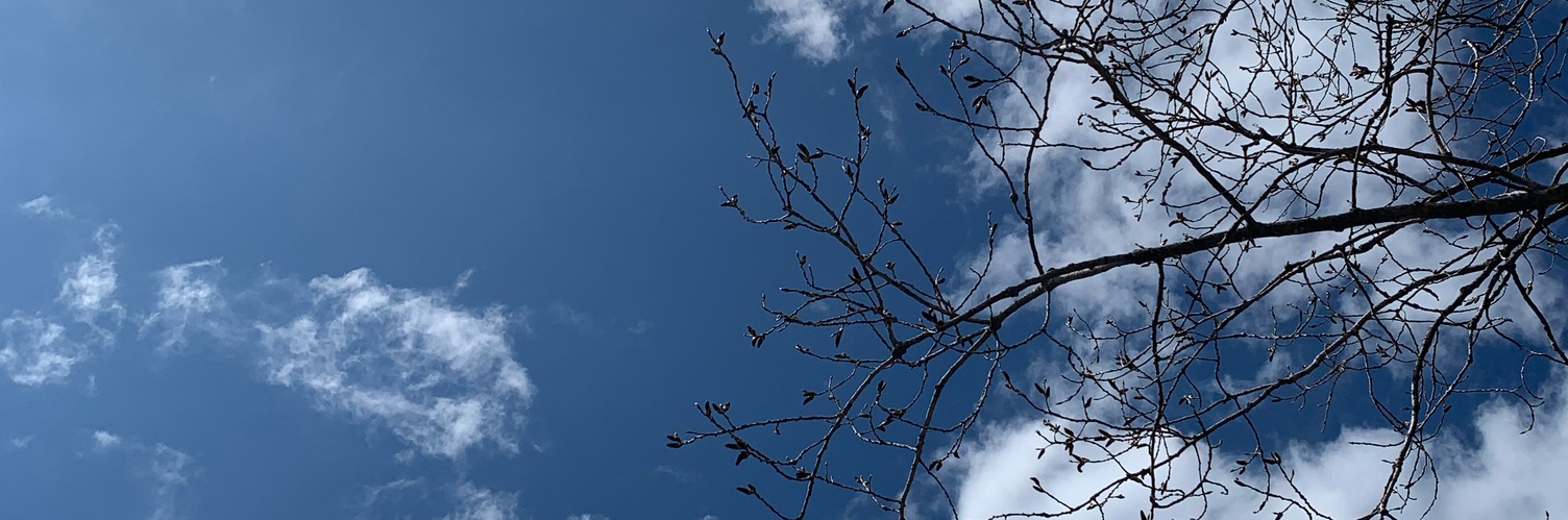 Profile Banner