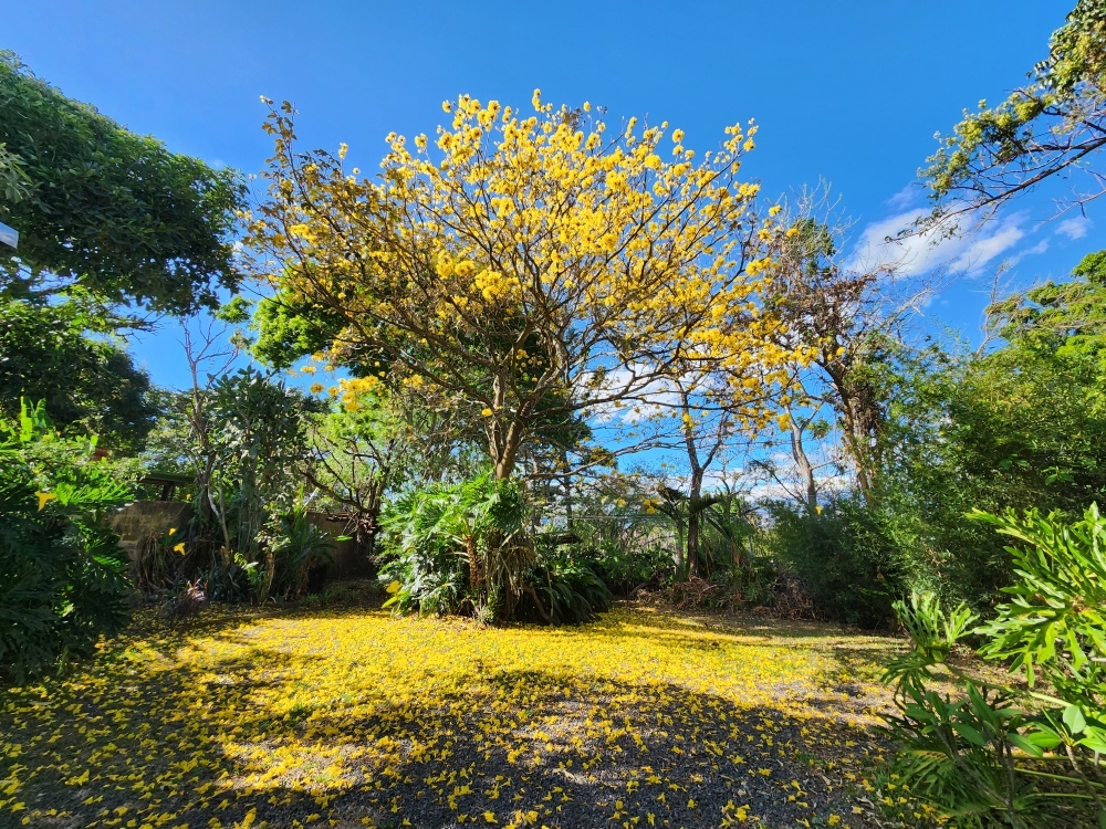 agoraatica's profile header