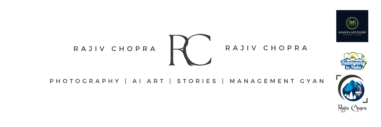 Profile Banner