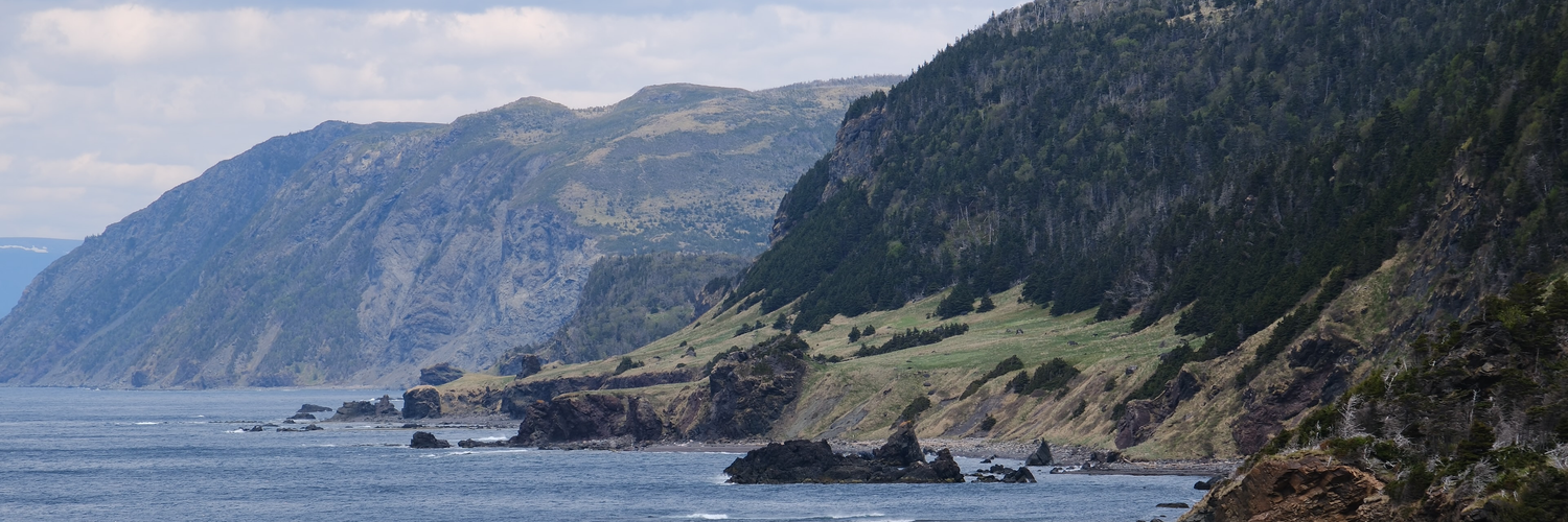 Header Image