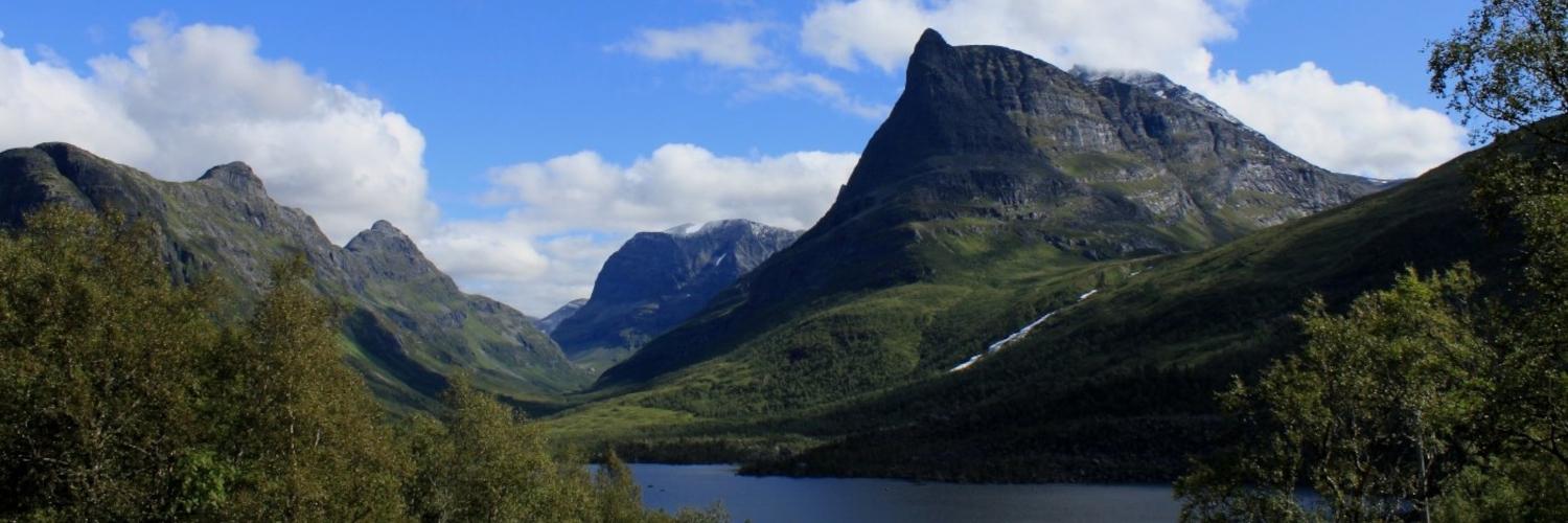 Header Image