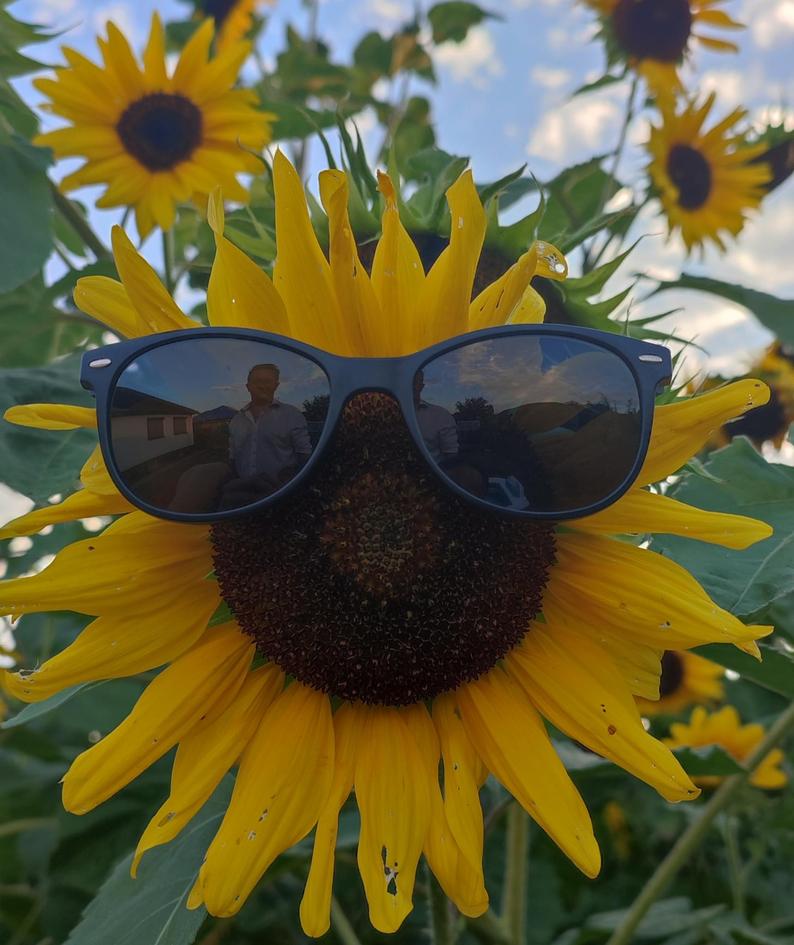 notDG's profile header