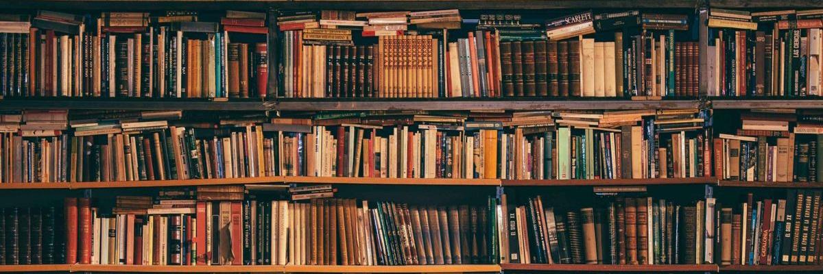 Header Image