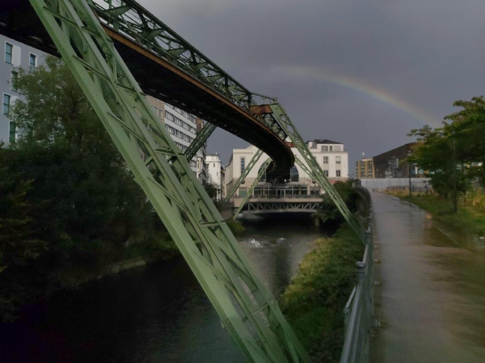 radlfabs's profile header