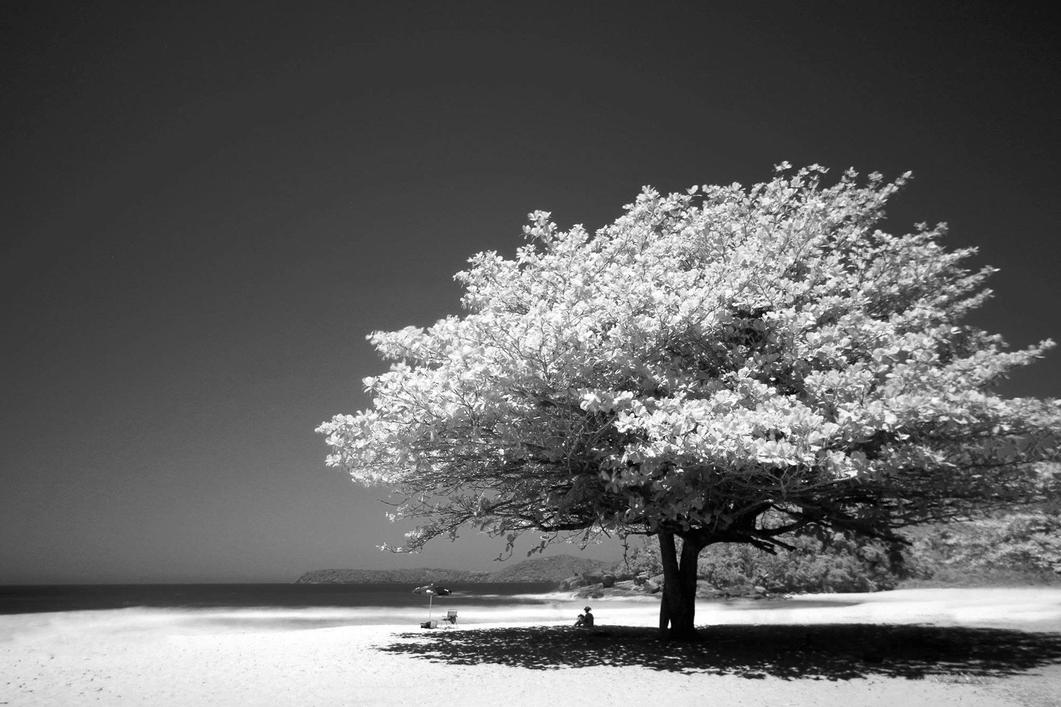 Header Image