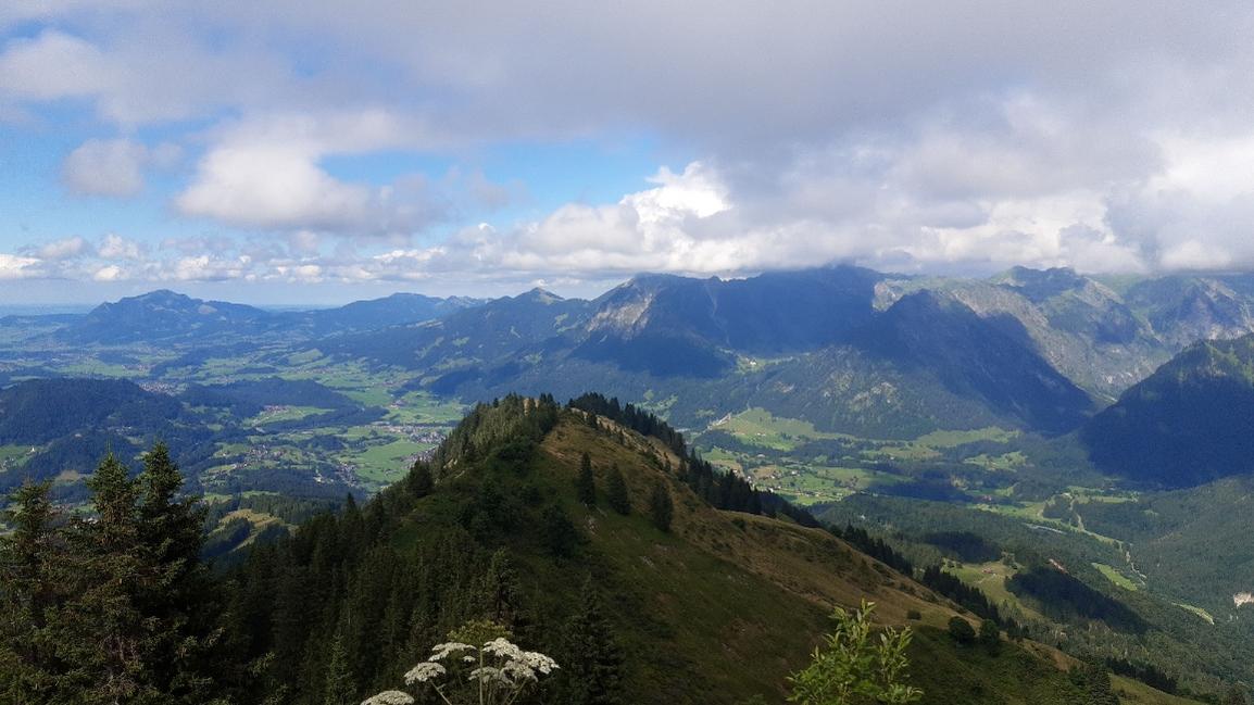 Header Image