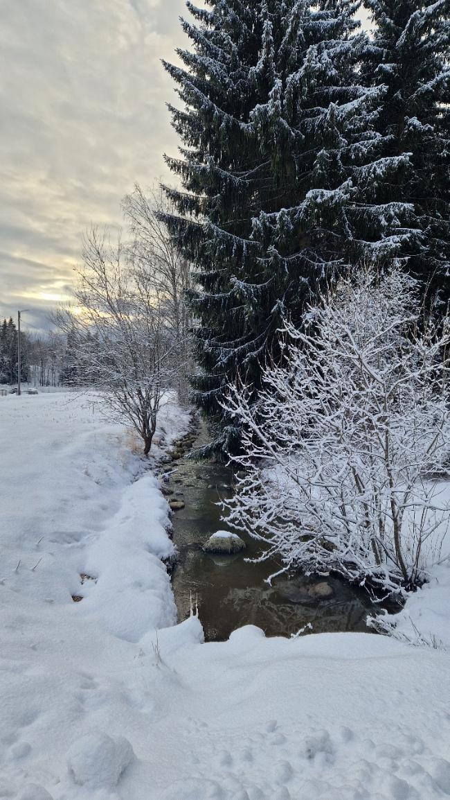 elvirium's profile header
