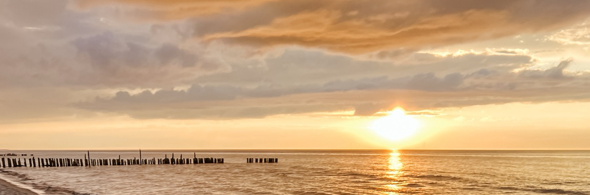 travelontoast's profile header