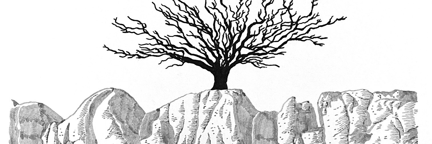 pierrebolide's profile header